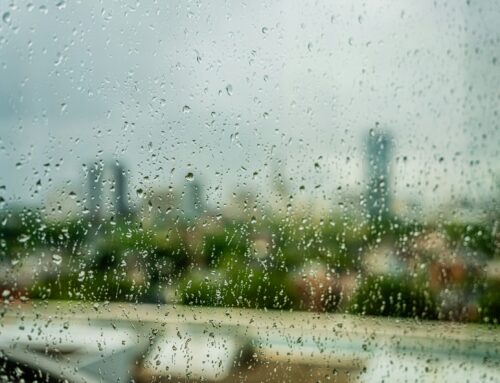 A Teacher’s Guide to South Korea’s Weather