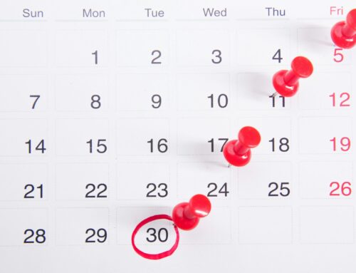 Navigating South Korea’s 2025 Public Holidays: A Guide for English Teachers