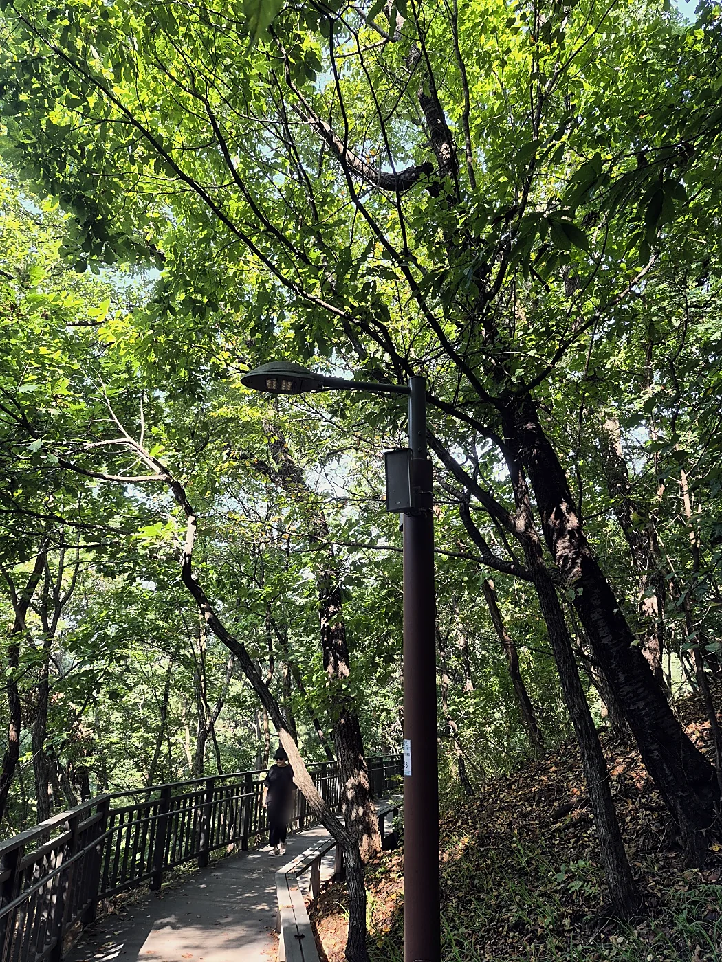 Seoul Trail Course 4: Mangu-Yongmasan 19 Street lamp beside a wooden deck path in the forest