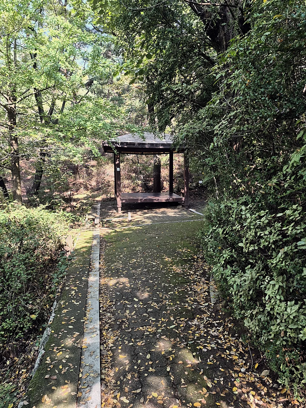 Seoul Trail Course 4: Mangu-Yongmasan 22 Wooden pavilion at the end of a forest path