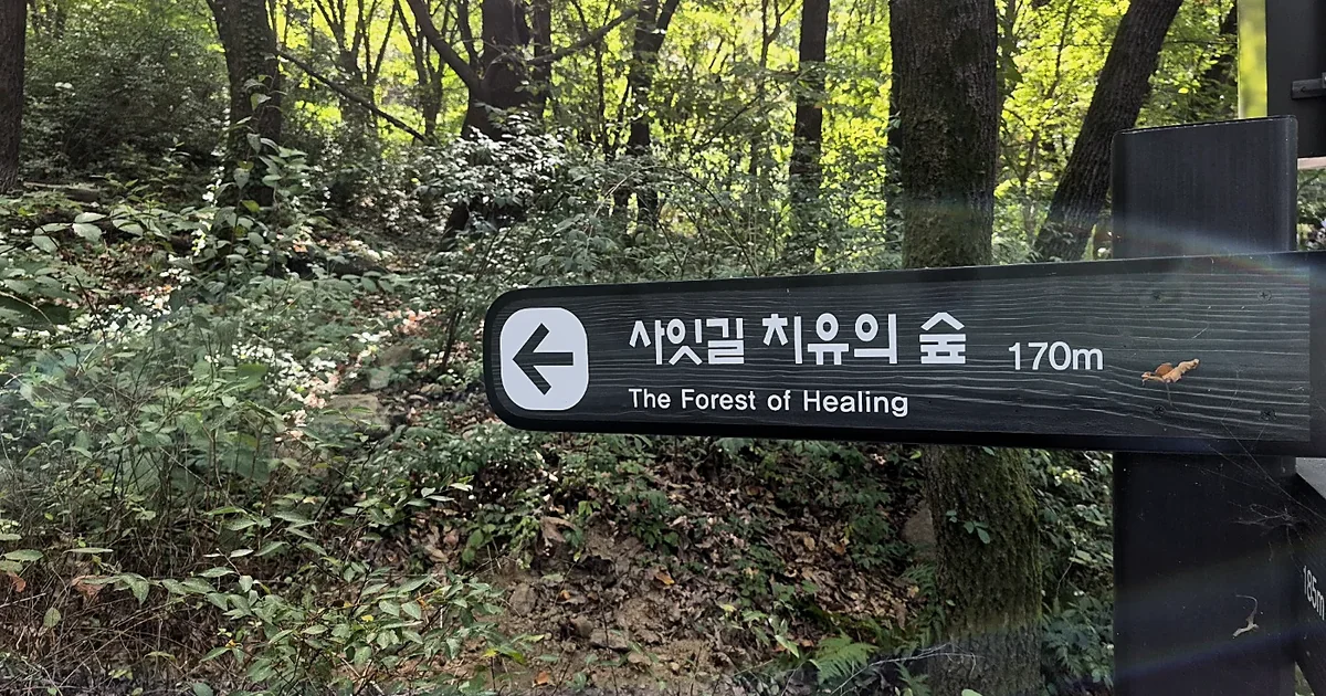 Bilingual trail sign in the forest pointing to the Forest of Healing, 170 m, on the Mangu section of Seoul Trail Course 4
