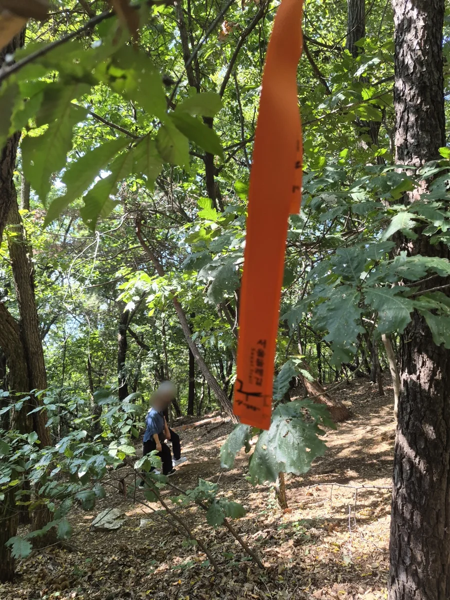 Seoul Trail Course 4: Mangu-Yongmasan 2 Orange Seoul Trail ribbon hanging from a branch above a forest path with two hikers behind