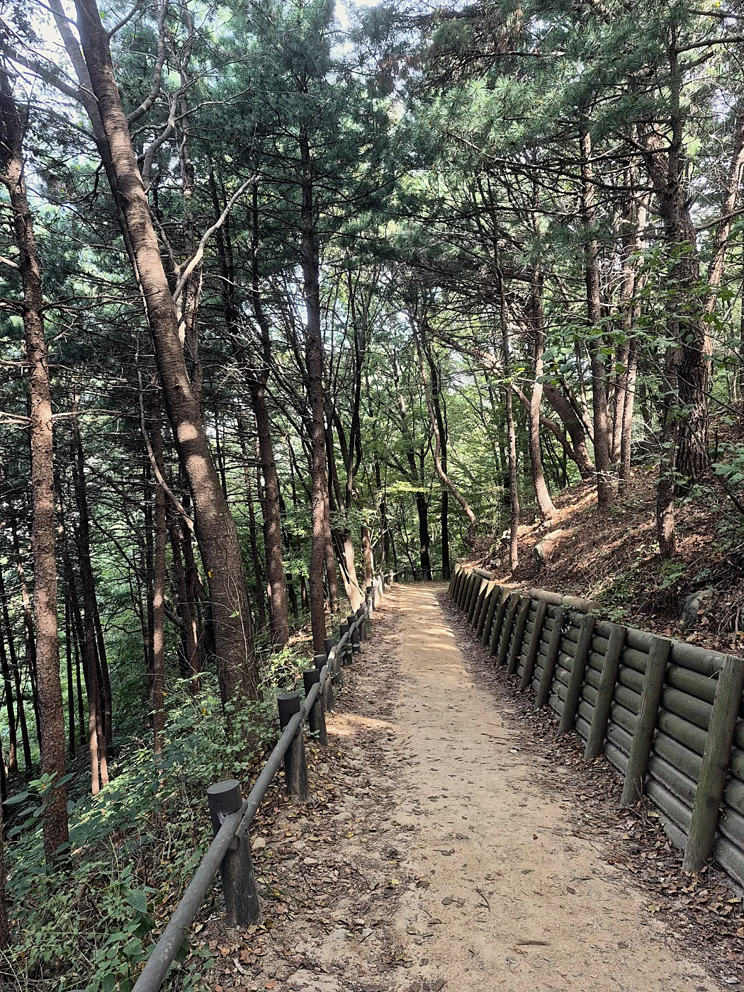 Seoul Trail Course 4: Mangu-Yongmasan 5 Dirt path through tall pines with a log fence