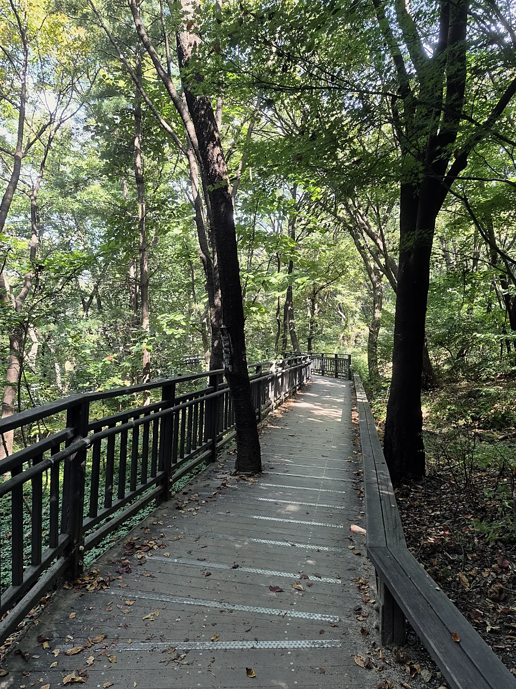 Seoul Trail Course 4: Mangu-Yongmasan 4 Wooden deck path with railings through the forest on Yongmasan