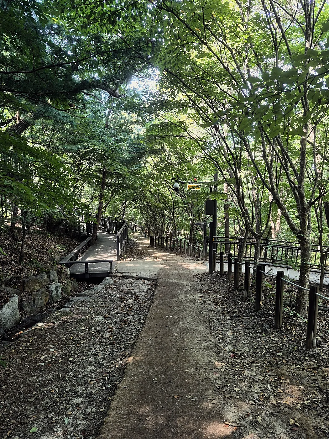 Seoul Trail Course 4: Mangu-Yongmasan 8 Deck path running beside a dirt trail under trees