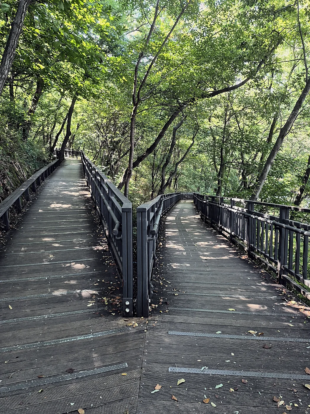 Seoul Trail Course 4: Mangu-Yongmasan 7 Wooden deck path splitting into two lanes
