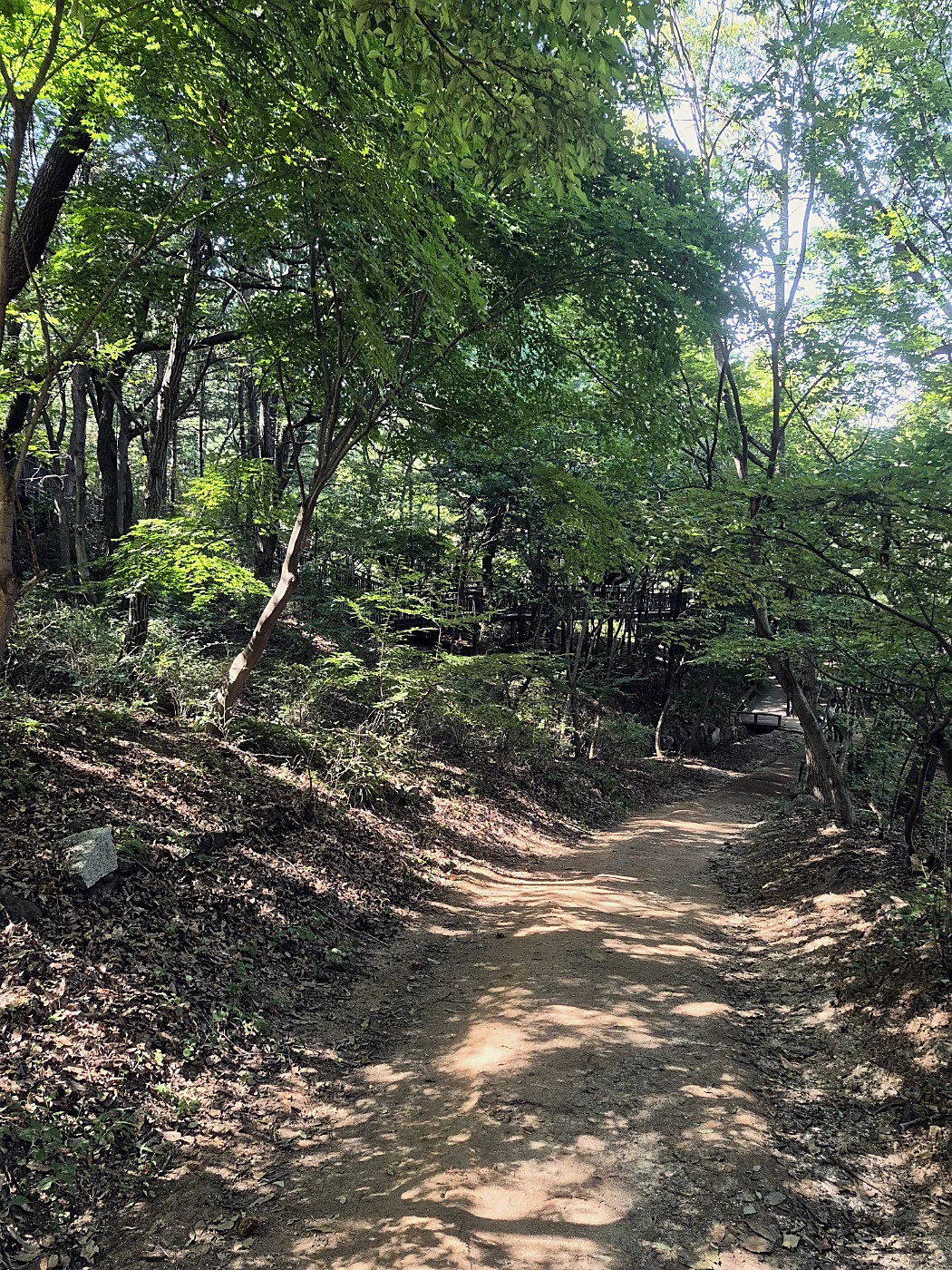Seoul Trail Course 4: Mangu-Yongmasan 9 Dirt hiking trail through green forest