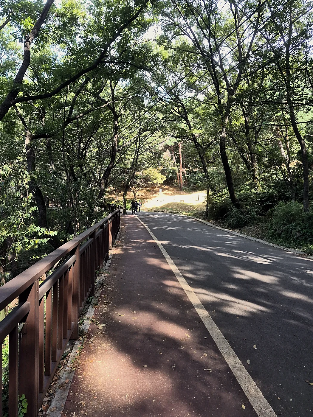 Seoul Trail Course 4: Mangu-Yongmasan 10 Paved road through the forest with a wooden railing