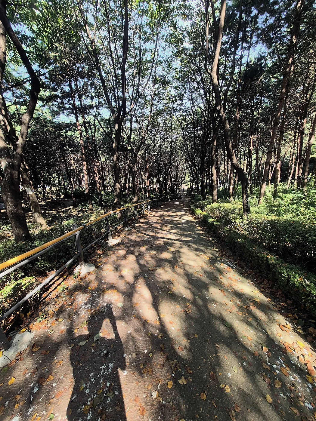 Seoul Trail Course 4: Mangu-Yongmasan 6 Shaded dirt path with a handrail and leaf shadows